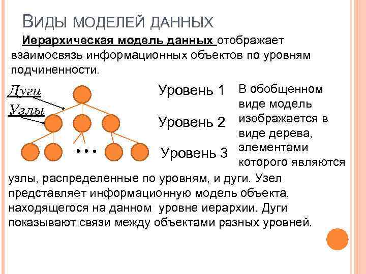 ВИДЫ МОДЕЛЕЙ ДАННЫХ Иерархическая модель данных отображает взаимосвязь информационных объектов по уровням подчиненности. Дуги