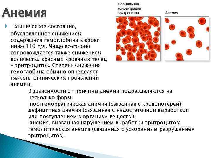 Элементы крови содержащие гемоглобин