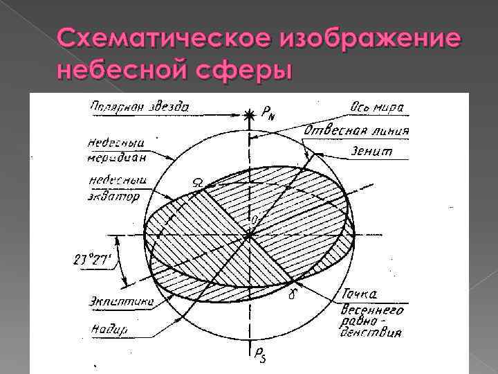 Схематическое изображение небесной сферы 