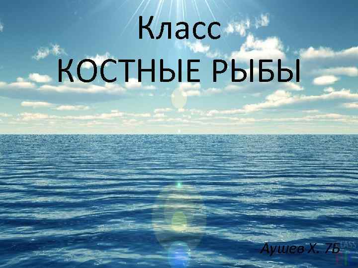 Класс КОСТНЫЕ РЫБЫ Аушев Х. 7 Б 