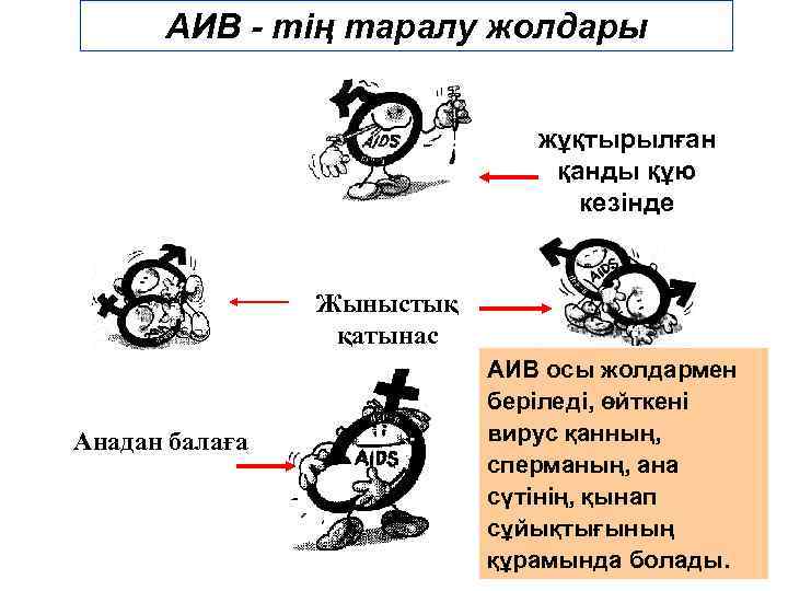 АИВ - тің таралу жолдары жұқтырылған қанды құю кезінде Жыныстық қатынас Анадан балаға АИВ