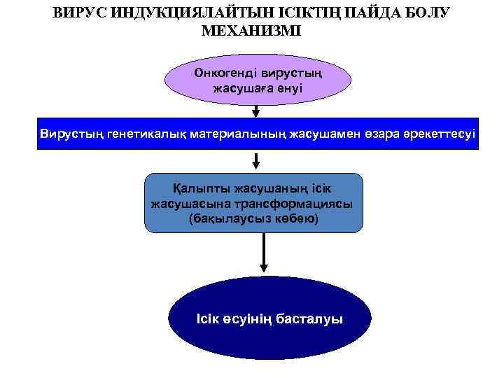 ВИРУС ИНДУКЦИЯЛАЙТЫН ІСІКТІҢ ПАЙДА БОЛУ МЕХАНИЗМІ Онкогенді вирустың жасушаға енуі Вирустың генетикалық материалының жасушамен