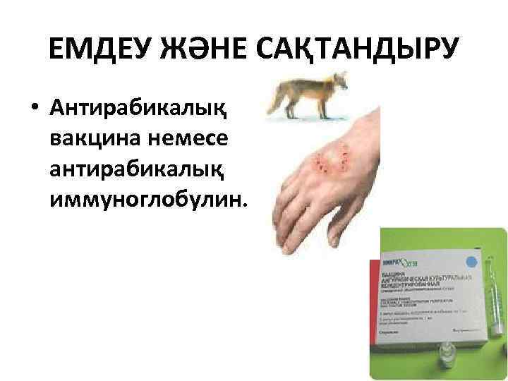 ЕМДЕУ ЖӘНЕ САҚТАНДЫРУ • Антирабикалық вакцина немесе антирабикалық иммуноглобулин. 