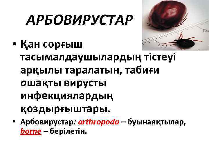 АРБОВИРУСТАР • Қан сорғыш тасымалдаушылардың тістеуі арқылы таралатын, табиғи ошақты вирусты инфекциялардың қоздырғыштары. •