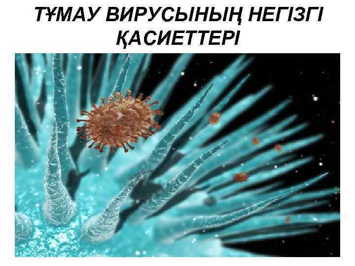 ТҰМАУ ВИРУСЫНЫҢ НЕГІЗГІ ҚАСИЕТТЕРІ 
