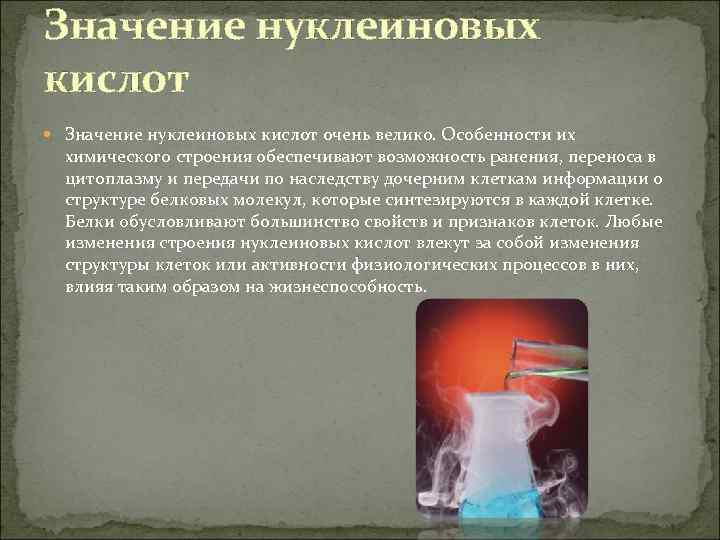 Значение нуклеиновых кислот очень велико. Особенности их химического строения обеспечивают возможность ранения, переноса в