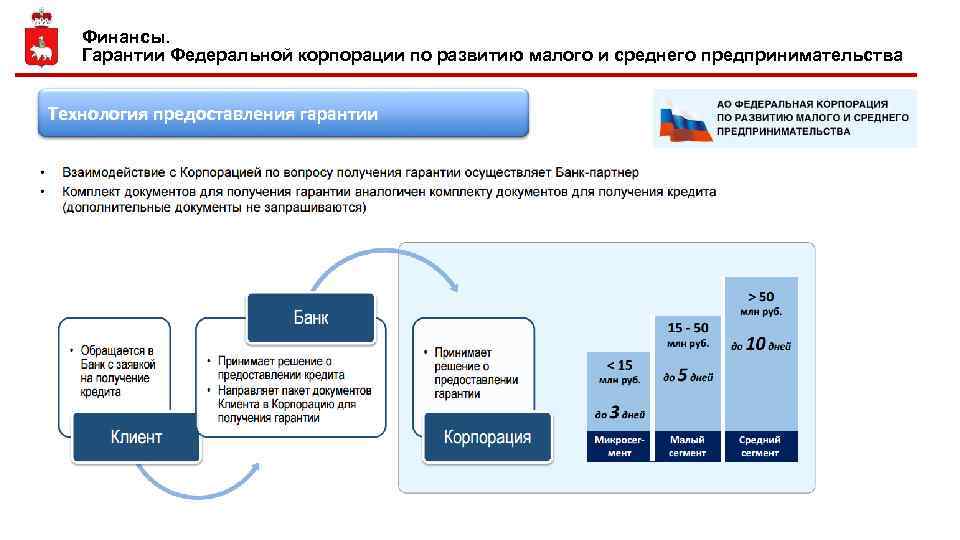 Финансы. Гарантии Федеральной корпорации по развитию малого и среднего предпринимательства Технология предоставления гарантии 