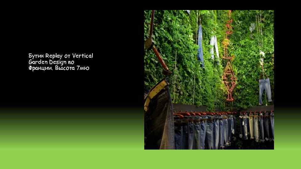 Бутик Replay от Vertical Garden Design во Франции. Высота 7 мю 
