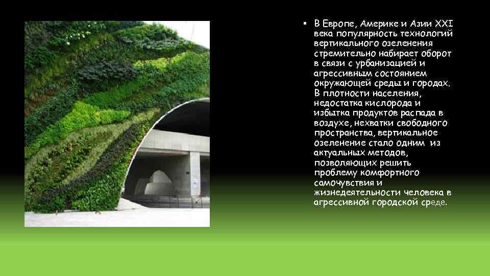 § В Европе, Америке и Азии ХХI века популярность технологий вертикального озеленения стремительно набирает