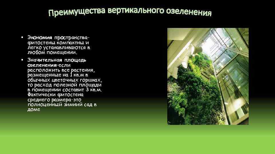 § Экономия пространствафитостены компактны и легко устанавливаются в любом помещении. § Значительная площадь озеленения-если