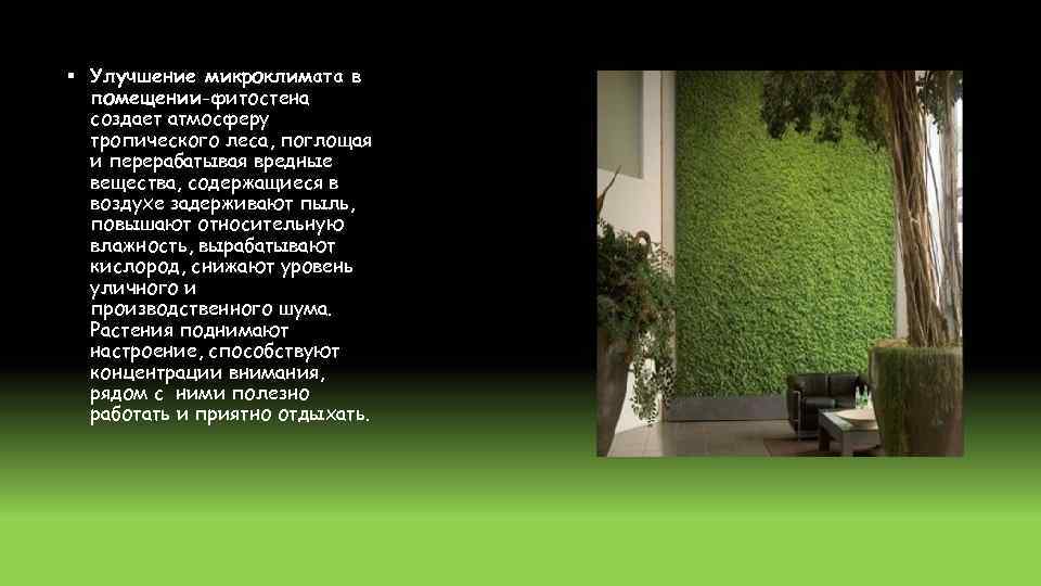 § Улучшение микроклимата в помещении-фитостена создает атмосферу тропического леса, поглощая и перерабатывая вредные вещества,