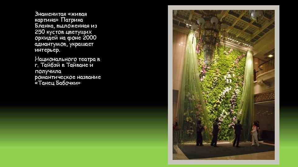 Знаменитая «живая картина» Патрика Бланка, выложенная из 250 кустов цветущих орхидей на фоне 2000