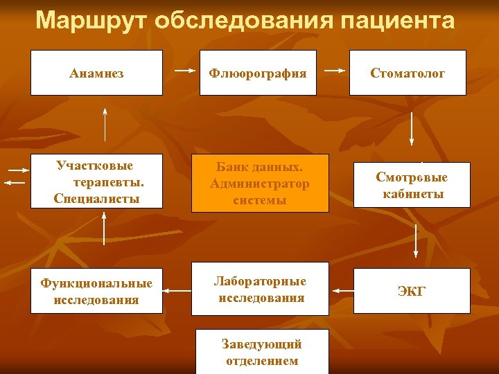 Маршрут обследования пациента Анамнез Флюорография Стоматолог Участковые терапевты. Специалисты Банк данных. Администратор системы Смотровые