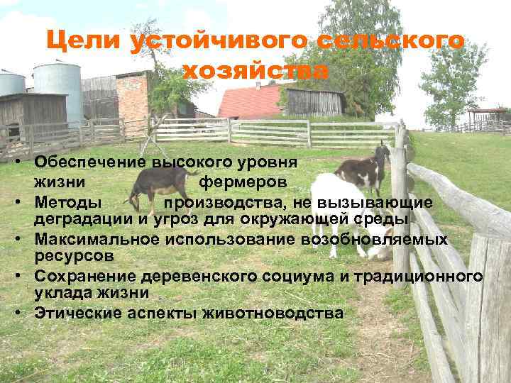 Цели устойчивого сельского хозяйства • Обеспечение высокого уровня жизни фермеров • Методы производства, не