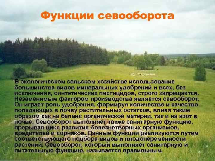 Функции севооборота В экологическом сельском хозяйстве использование большинства видов минеральных удобрений и всех, без