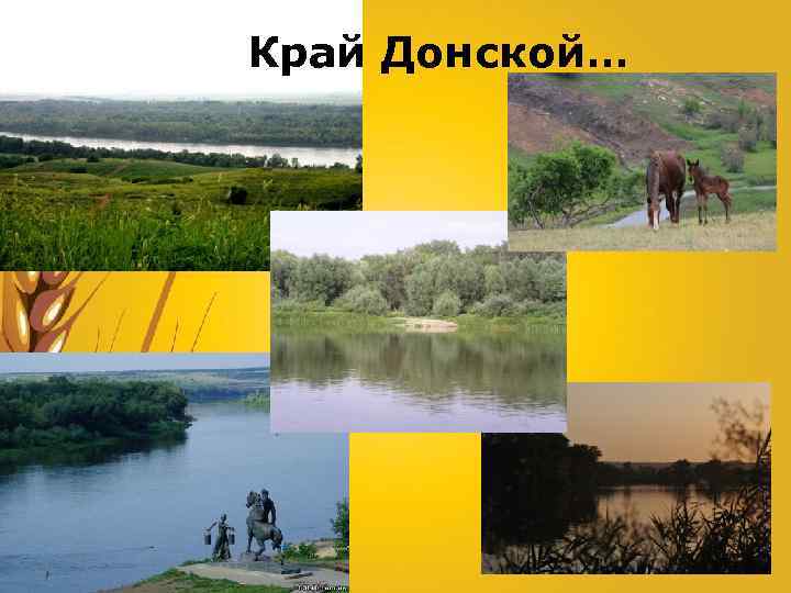 Край Донской… 