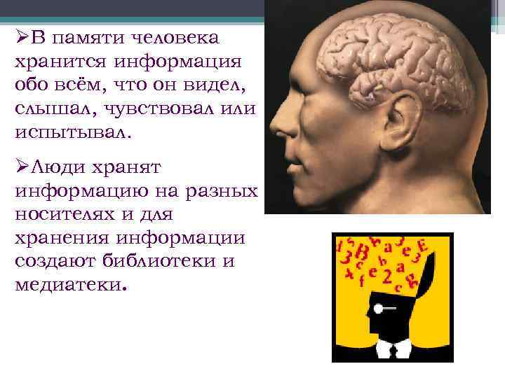 ØВ памяти человека хранится информация обо всём, что он видел, слышал, чувствовал или испытывал.