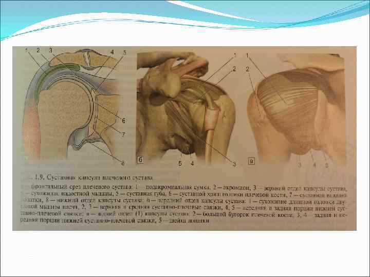 Артроскопия плечевого сустава реабилитация