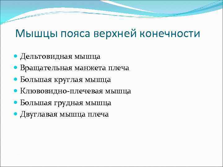 Мышцы пояса верхней конечности Дельтовидная мышца Вращательная манжета плеча Большая круглая мышца Клювовидно-плечевая мышца