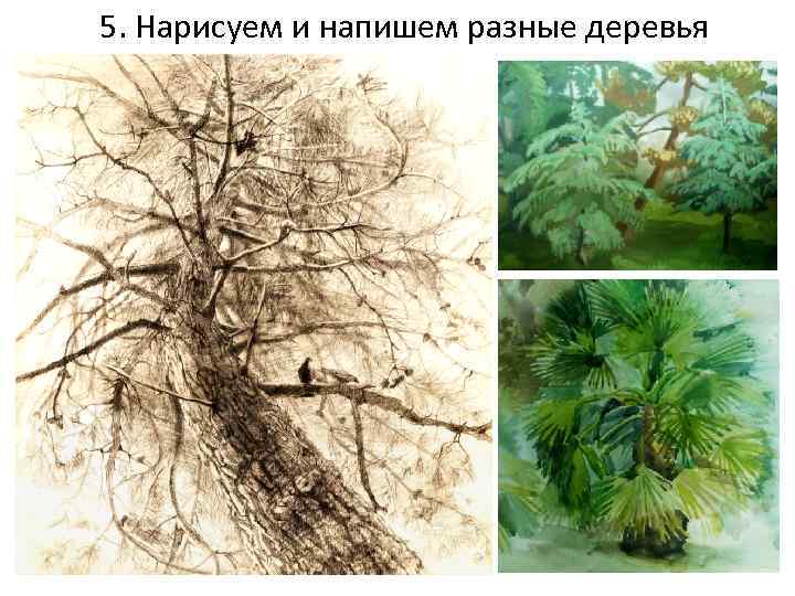 5. Нарисуем и напишем разныe деревья 