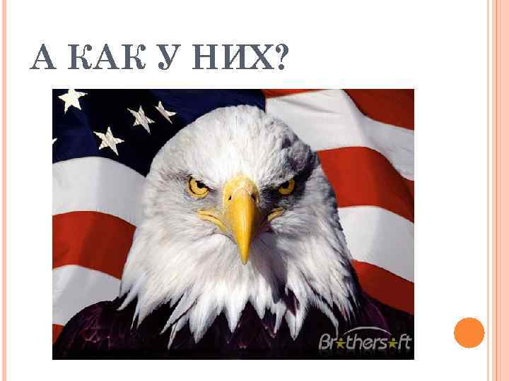 А КАК У НИХ? 