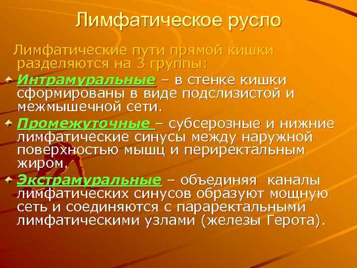 Лимфатическое русло Лимфатические пути прямой кишки разделяются на 3 группы: Интрамуральные – в стенке