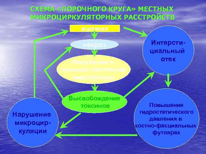 СХЕМА «ПОРОЧНОГО КРУГА» МЕСТНЫХ МИКРОЦИРКУЛЯТОРНЫХ РАССТРОЙСТВ ишемия некроз Накопление и селекция патогенной микрофлоры Высвобождение