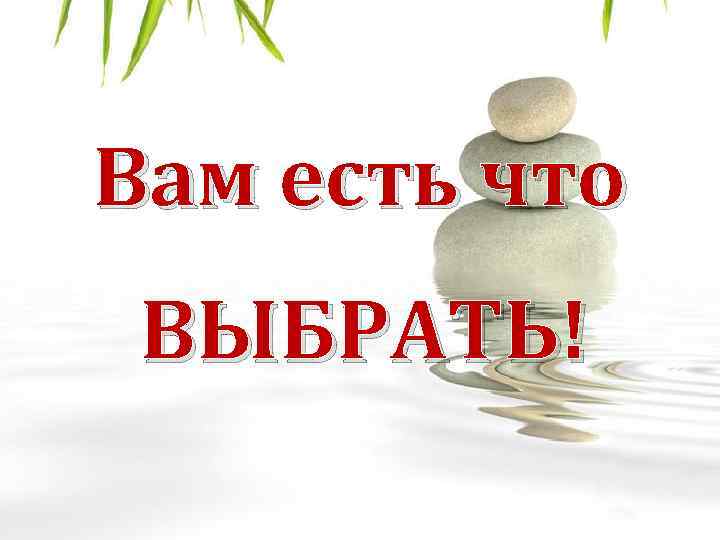 Вам есть что ВЫБРАТЬ! 