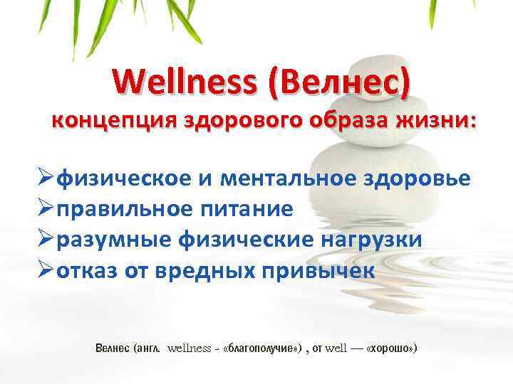 Wellness (Велнес) концепция здорового образа жизни: Øфизическое и ментальное здоровье Øправильное питание Øразумные физические