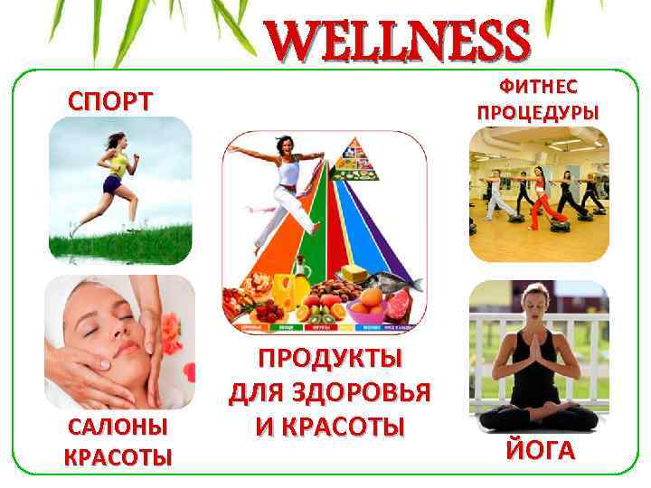 WELLNESS ФИТНЕС ПРОЦЕДУРЫ СПОРТ САЛОНЫ КРАСОТЫ ПРОДУКТЫ ДЛЯ ЗДОРОВЬЯ И КРАСОТЫ ЙОГА 