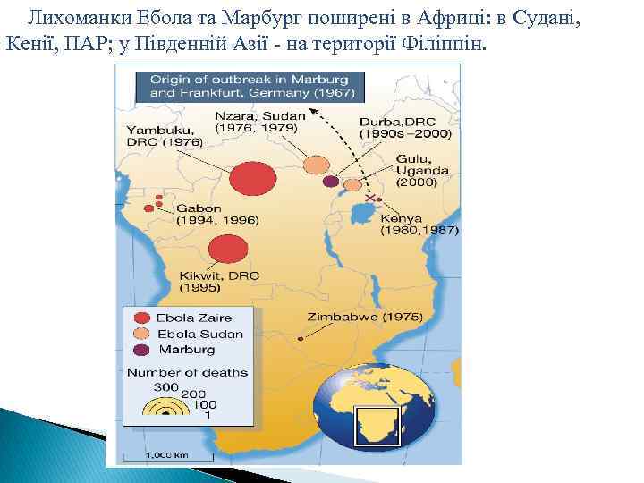 Лихоманки Ебола та Марбург поширені в Африці: в Судані, Кенії, ПАР; у Південній Азії