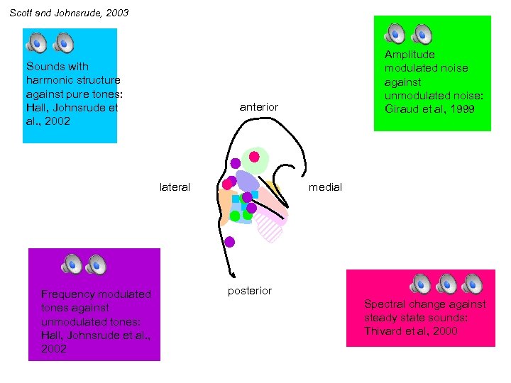 Scott and Johnsrude, 2003 Sounds with harmonic structure against pure tones: Hall, Johnsrude et