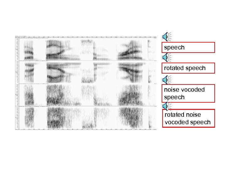 speech rotated speech noise vocoded speech rotated noise vocoded speech 