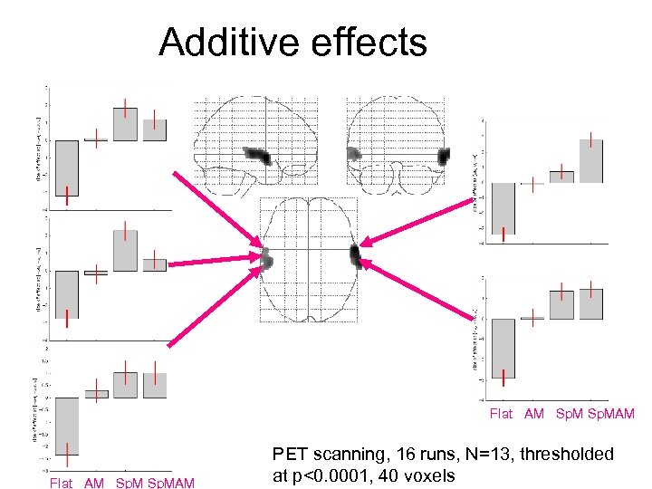 Additive effects Flat AM Sp. MAM PET scanning, 16 runs, N=13, thresholded at p<0.