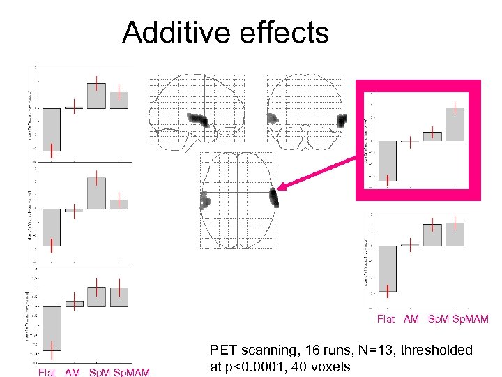Additive effects Flat AM Sp. MAM PET scanning, 16 runs, N=13, thresholded at p<0.