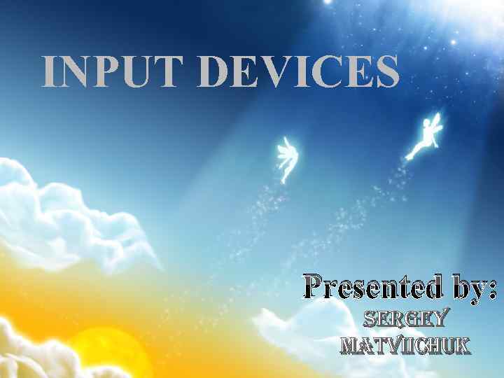 INPUT DEVICES Presented by: Sergey matviichuk 