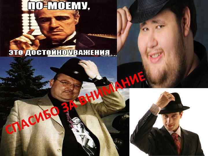 ИЕ АН ИБ АС СП ЗА О ИМ ВН 