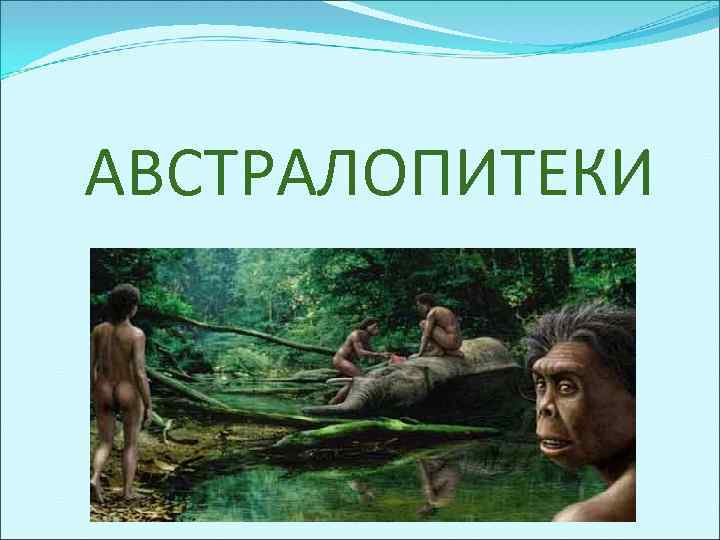АВСТРАЛОПИТЕКИ 