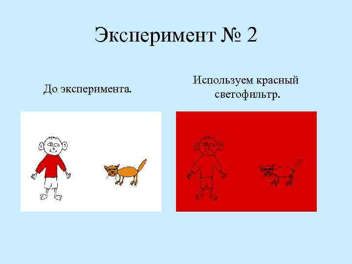 Эксперимент № 2 До эксперимента. Используем красный светофильтр. 
