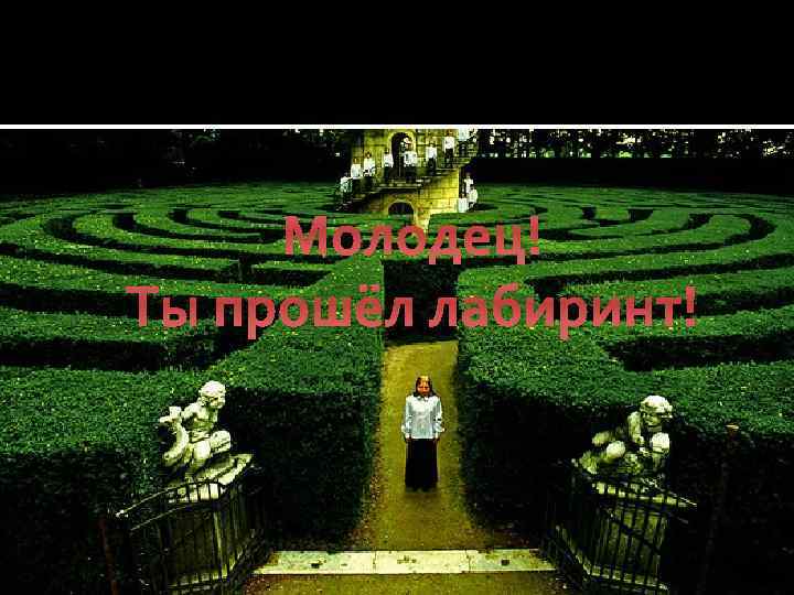 Молодец! Ты прошёл лабиринт! 