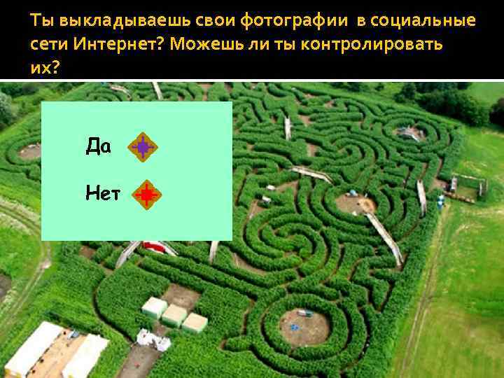 Ты выкладываешь свои фотографии в социальные сети Интернет? Можешь ли ты контролировать их? Да