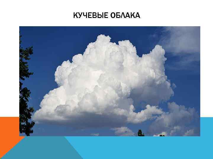 КУЧЕВЫЕ ОБЛАКА 