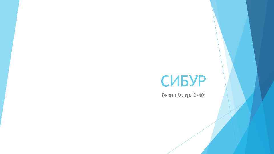 СИБУР Векин М. гр. Э-401 