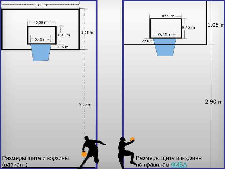 Размеры щита и корзины (вариант) Размеры щита и корзины по правилам ФИБА 