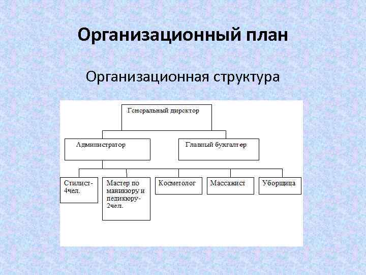 Организационный план Организационная структура 