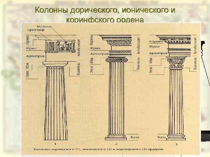 Колонны дорического, ионического и коринфского ордена 