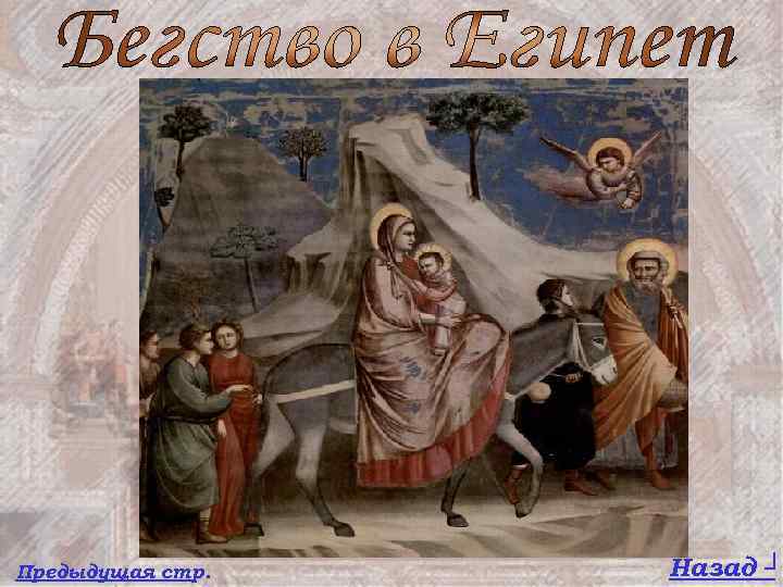 Предыдущая стр. Назад ┘ 