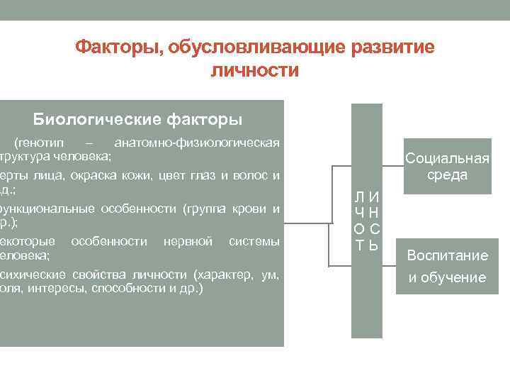 Факторы, обусловливающие развитие личности Биологические факторы (генотип – анатомно-физиологическая труктура человека; ерты лица, окраска