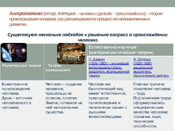 Антропогенез (от гр. Anthropos – человек и genesis – происхождение) – теория происхождения человека,
