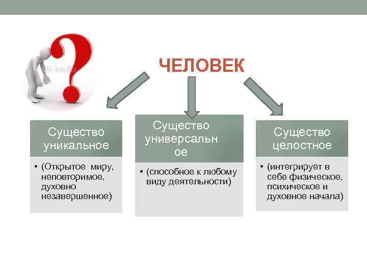 ЧЕЛОВЕК Существо уникальное • (Открытое миру, неповторимое, духовно незавершенное) Существо универсальн ое • (способное